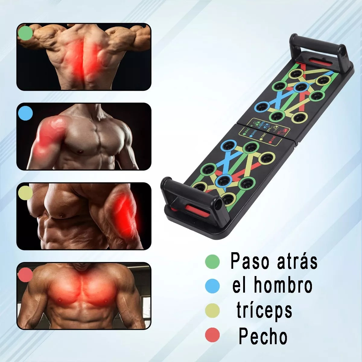 Tablero Plegable Para Flexiones Con Guía Visual®